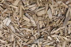 biomass boilers Pendine